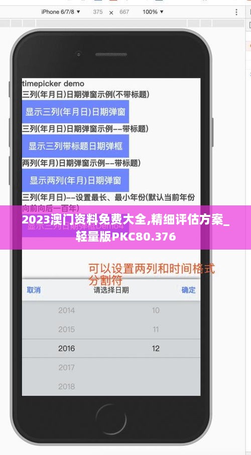 2023澳门资料免费大全,精细评估方案_轻量版PKC80.376