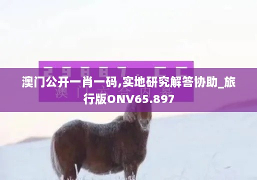 澳门公开一肖一码,实地研究解答协助_旅行版ONV65.897