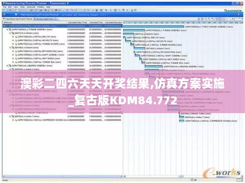 澳彩二四六天天开奖结果,仿真方案实施_复古版KDM84.772