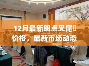 12月斑点叉尾鮰价格解析与市场动态