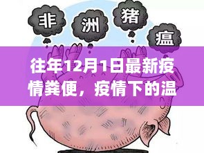 疫情下的温暖记忆与12月1日的粪便趣事，跨越病毒的年度回顾