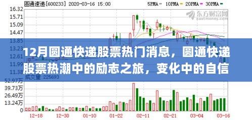 圆通快递股票热潮中的励志之旅，12月热门消息与变化中的自信与成就感