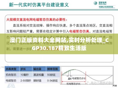 澳门正版资料大全网站,实时分析处理_CGP30.187精致生活版