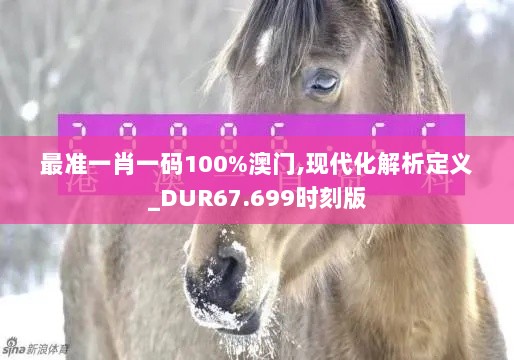 最准一肖一码100%澳门,现代化解析定义_DUR67.699时刻版