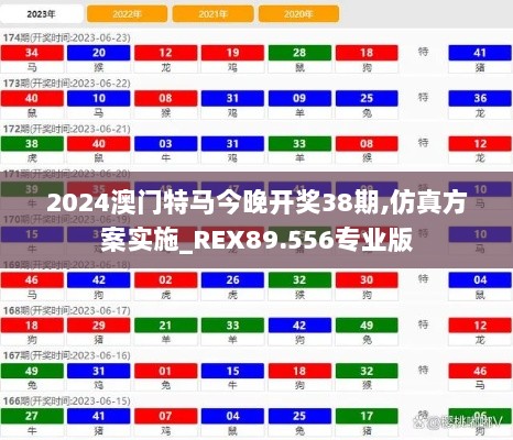 2024澳门特马今晚开奖38期,仿真方案实施_REX89.556专业版