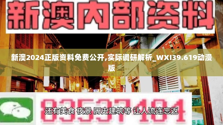 新澳2024正版资料免费公开,实际调研解析_WXI39.619动漫版