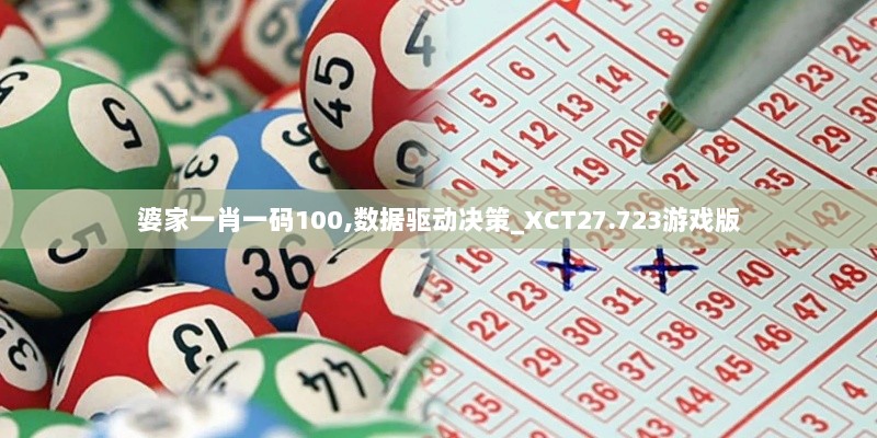 婆家一肖一码100,数据驱动决策_XCT27.723游戏版