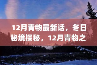 12月青物探秘之旅，冬日秘境寻觅内心平静的启程