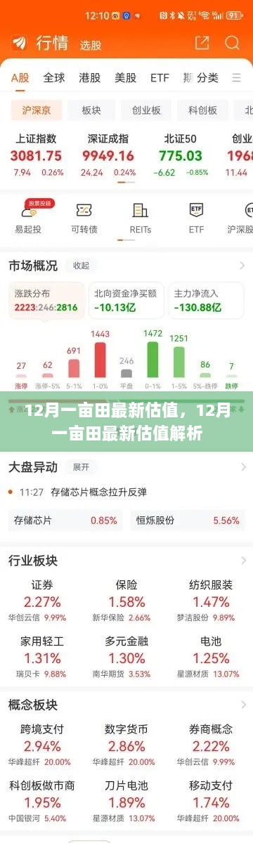 12月一亩田最新估值解析