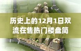 双流12月1日在售热门楼盘全面解析与简介