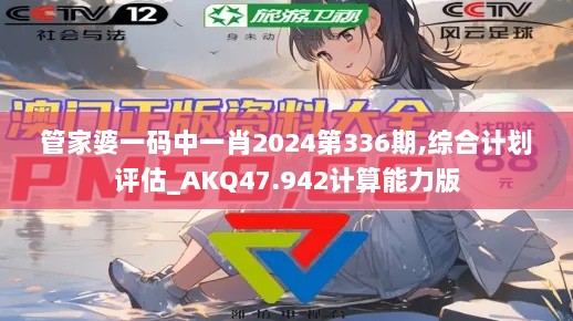 管家婆一码中一肖2024第336期,综合计划评估_AKQ47.942计算能力版