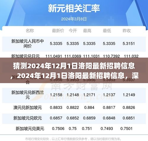 2024年12月1日洛阳最新招聘信息深度解析与体验报告