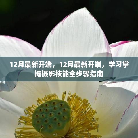 12月开端，摄影技能全步骤指南