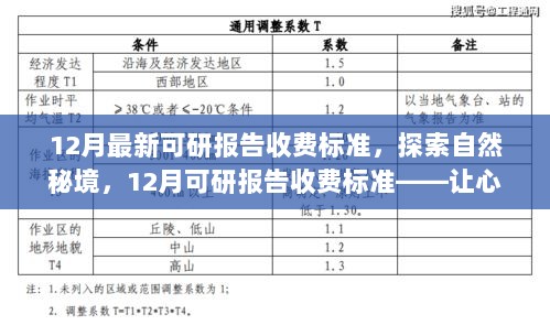 12月可研报告收费标准，探索自然秘境，心灵之旅的收费指南