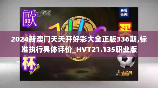 2024新澳门天天开好彩大全正版336期,标准执行具体评价_HVT21.135职业版