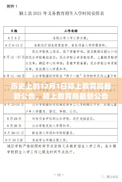 12月1日颍上教育局公告，学习任务与技能提升的详细步骤指南