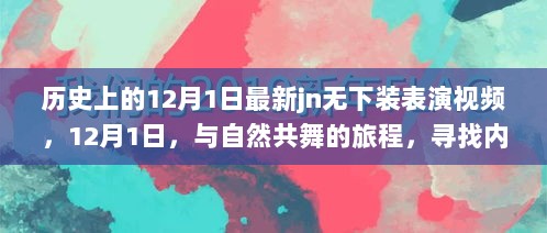 12月1日，历史时刻与自然共舞，寻找内心的平静与喜悦的旅程