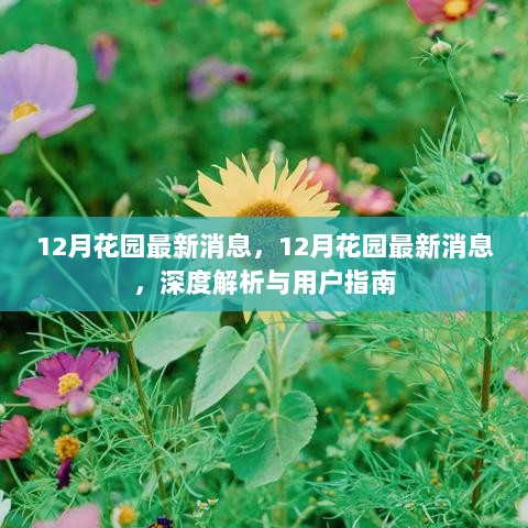 12月花园最新消息深度解析与用户指南