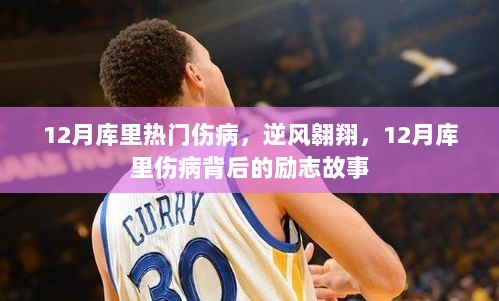 12月库里伤病逆风翱翔，励志故事背后的坚韧与勇气