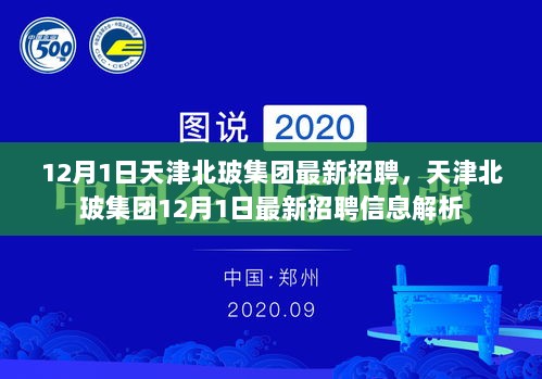 天津北玻集团12月1日最新招聘信息解析