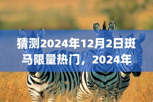 2024年12月2日斑马限量热门全面解析与购买攻略