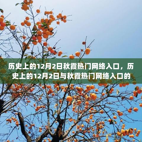 历史上的12月2日，秋霞热门网络入口的深度探讨