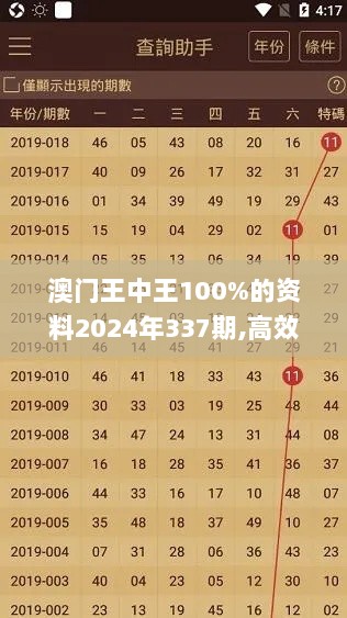 澳门王中王100%的资料2024年337期,高效策略实施_挑战款95.536-2