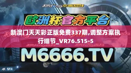 新澳门天天彩正版免费337期,调整方案执行细节_VR76.515-5