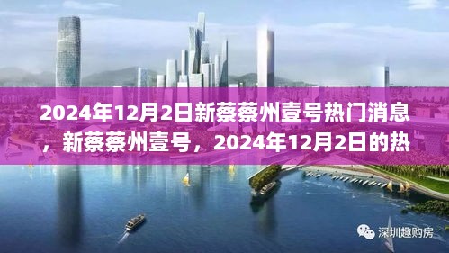 新蔡蔡州壹号热门产品深度解析与体验报告（2024年12月2日）