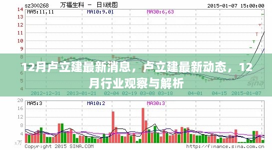 卢立建最新动态与行业观察解析（12月版）