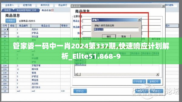 管家婆一码中一肖2024第337期,快速响应计划解析_Elite51.868-9