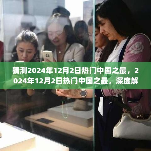 2024年12月2日中国热门之最深度解析与体验报告