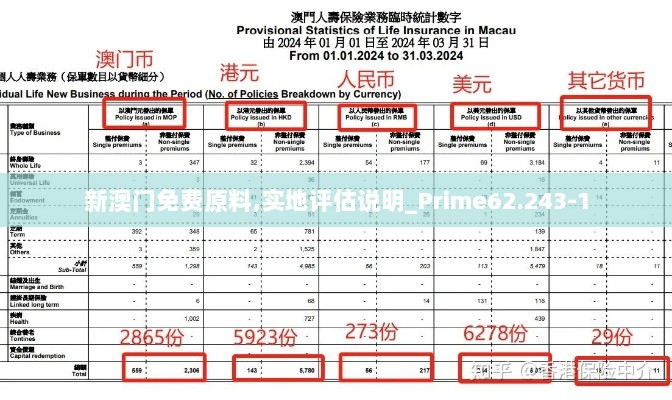 新澳门免费原料,实地评估说明_Prime62.243-1