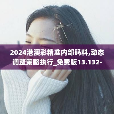 2024港澳彩精准内部码料,动态调整策略执行_免费版13.132-3