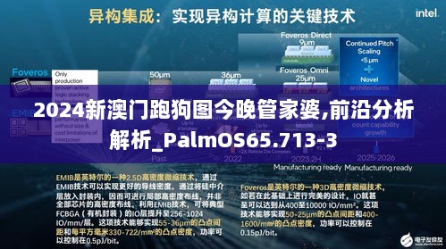 2024新澳门跑狗图今晚管家婆,前沿分析解析_PalmOS65.713-3