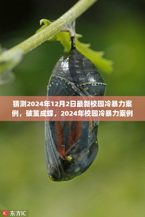 2024年校园冷暴力案例，破茧成蝶的启示与成长之路