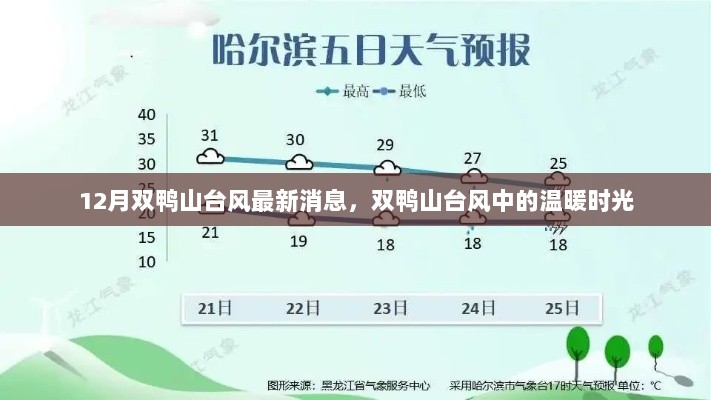 12月双鸭山台风最新消息，温暖时光中的风雨共度