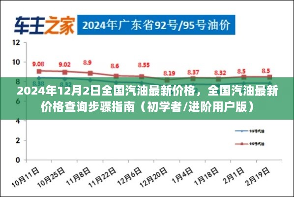 2024年12月2日全国汽油最新价格及查询步骤指南（初学者与进阶用户版）