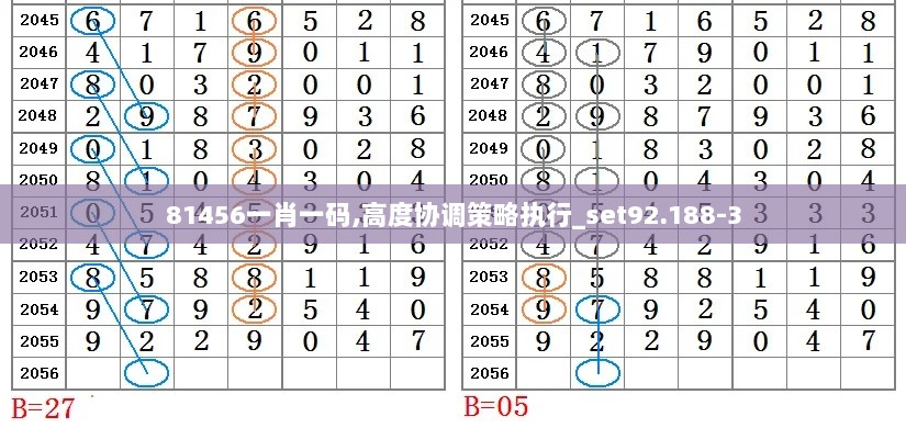 81456一肖一码,高度协调策略执行_set92.188-3