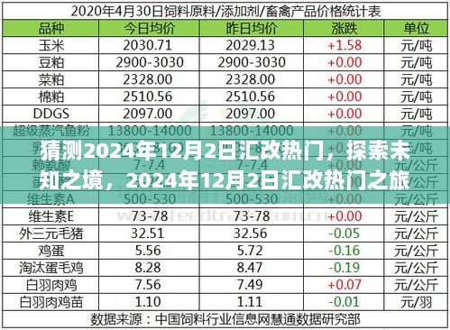 2024年12月2日汇改热门之旅，探索未知之境的探索与发现