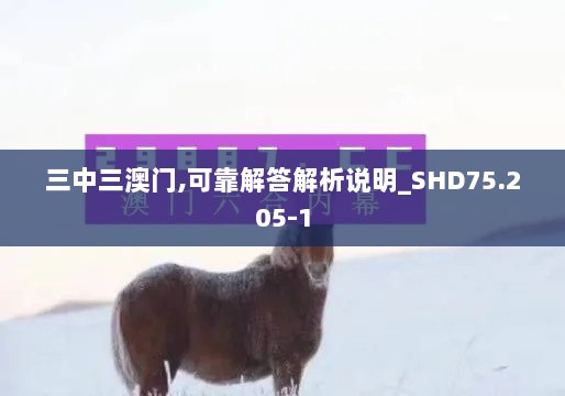 三中三澳门,可靠解答解析说明_SHD75.205-1