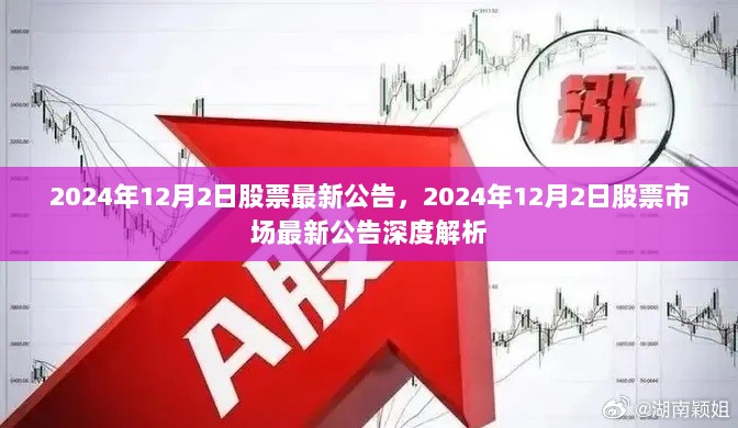 2024年12月2日股票市场最新公告深度解析与解读