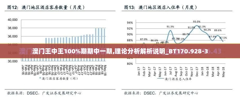 澳门王中王100%期期中一期,理论分析解析说明_BT170.928-3