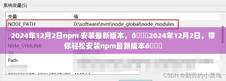 2024年12月2日，轻松安装npm最新版本的指南🚀🎉