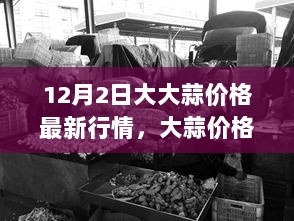 12月2日大蒜价格最新动态，与大自然共舞的旅行之旅中的农产品价格观察