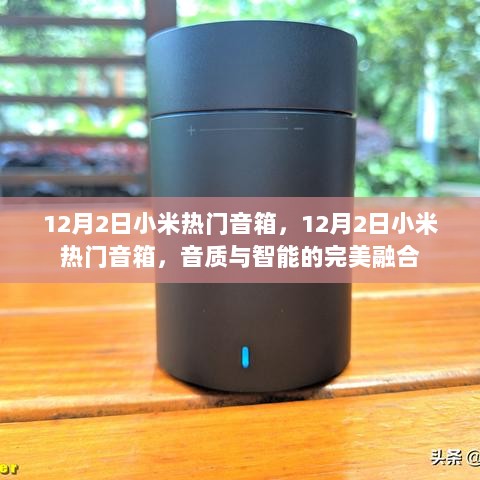 12月2日小米热门音箱，音质与智能的完美融合