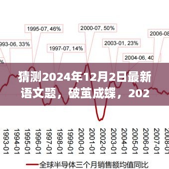 2024年12月3日 第15页