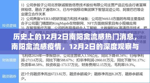 南阳禽流感疫情深度观察与解析，历史上的12月2日热门事件回顾