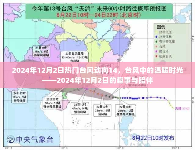 2024年12月2日，台风动向与温暖时光的陪伴趣事