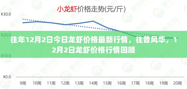 2024年12月3日 第9页